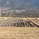 입면농협 이미지