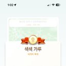 화룡양꼬치 네이버블로그