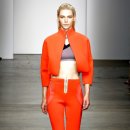 브이피엘 이미지