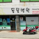 큐동물병원 이미지