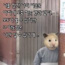 가현김밥 이미지