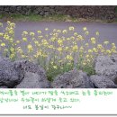 지은2농장 티스토리