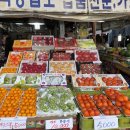 태양청과 이미지