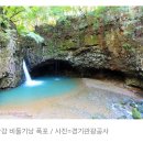 "피서 어디갈 지 못 정하셨나요?" 폭염도 피하는 자연공원 이미지