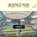 유델라 이미지