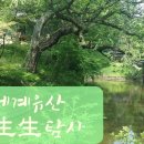 NR-5[경북대로]-상-249 | 세계유산 生生탐사-동궐도 속 나무를 찾아 떠나는 특별한 창덕궁 나들이