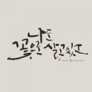 청송꽃차이야기 솔채 이미지