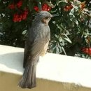 장원골프연습장 이미지