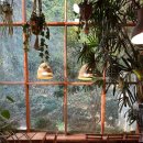 까멜리아 | 포항의 치앙마이 감성 카페 까멜리아 인 구룡포 방문 후기