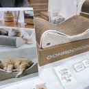 부산물세탁 | 고양이 용품 추천 우루룽 구름 카펫 스크래쳐 소파 내돈내산 후기 종이 골판지와 카페트 차이