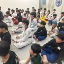 푸르미르태권도장 이미지