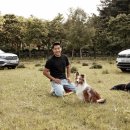 모던켄넬 이미지