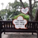 강정천(해군기지) Daum카페