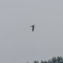 웅천친수공원 이미지