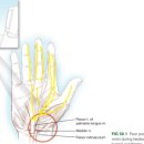 세일신경외과의원 이미지