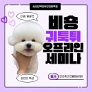 한국반려견연합학원 - 순천시 신대2길 6-55 | 한국반려견연합학원