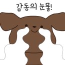 전주상회 이미지