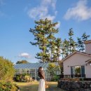 와흘972 | 제주 동쪽 감성숙소 / 독채 펜션 와흘972 (사계절 온수 풀빌라, 불멍)