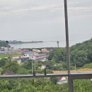 VILLA COZY | “영흥도 풀빌라 후기: 아이들 놀기 좋은 키즈비 체험기”