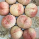 헬리오시티후문 이미지