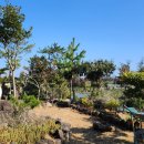 탐나민박 이미지