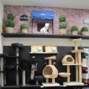 pet180누 5909 | [마케팅/MD/VMD] 일산 이마트타운 몰리스펫샵 후기/ MOLLY'S PET SHOP / 상품과 인테리어 위주로