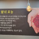 구환회마약단팥빵 네이버블로그