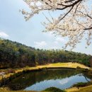 여주-0025 이미지