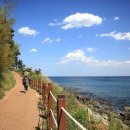 바다향기블루 이미지