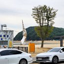 [당진 왜목마을 맛집] 연말 회식하기 좋은 섬마을수산 예약 후 방문