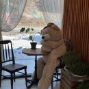 미니크테이블 이미지