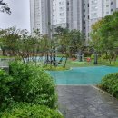 샛별온누리약국 이미지