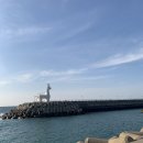 친언니랑 뚜벅이 제주여행(2박 3일)