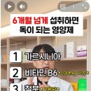 요세 ㅆ을 ㅅ로 쓰는게 유행인가요? 이미지