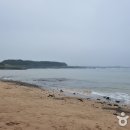 하모리-1 이미지