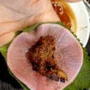 통큰갈비(원미점) 이미지