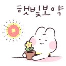 심리 힐링 압화 이미지