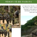 디지털랜드