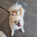 몽크네 이발관 이미지