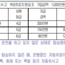 [자녀가입]자동차사고 부상치료지원금Ⅱ(비운전자용) 특별약관 이미지