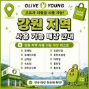 올리브영 횡성점