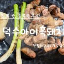 덕수공인중개사사무소 | 제주 봄 유채꽃 여행 산방산 옆 덕수아이흑돼지 오겹살과 목살 등 단일메뉴 솔직후기