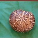 다대농장 이미지