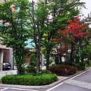 인앤인 휘트니스 이미지