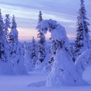 철도노조의 문제 요약!! 이미지