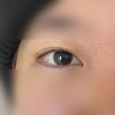 화곡동속눈썹 펌 잘하는 곳 더슈가링 모든게 완벽해요 !
