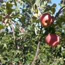 뉴한길공인중개사사무소 이미지