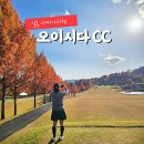 파란 가을 하늘 즐거운 책 읽기 | ⛳ 일본 골프여행 야마가타현 가을 단풍 명소 오이시다CC 라운드 후기