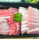 참치339