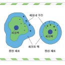 해오름자연요양병원 이미지